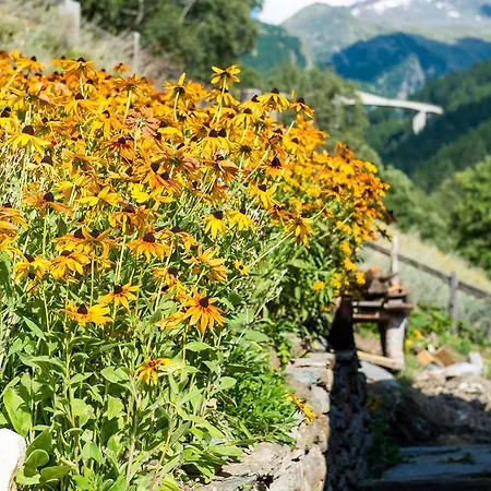 Alpenhutte Doru *